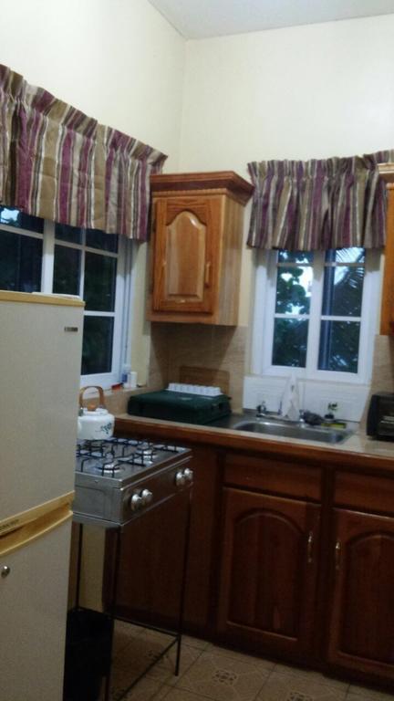 Brytan Villa Treasure Beach Cameră foto