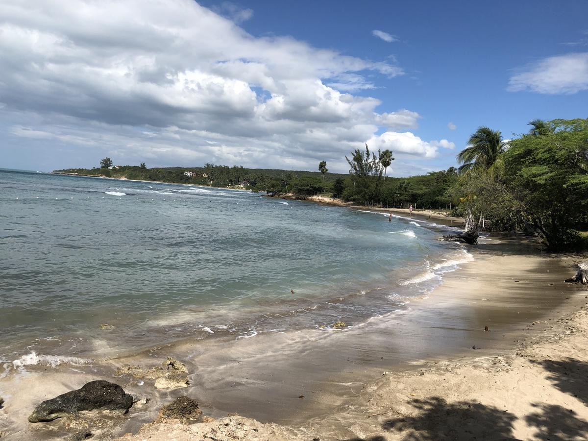 Brytan Villa Treasure Beach Exterior foto